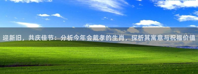 德国彩客网集团