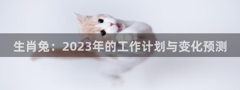 彩客网：生肖兔：2023年的工作计划与变化预测