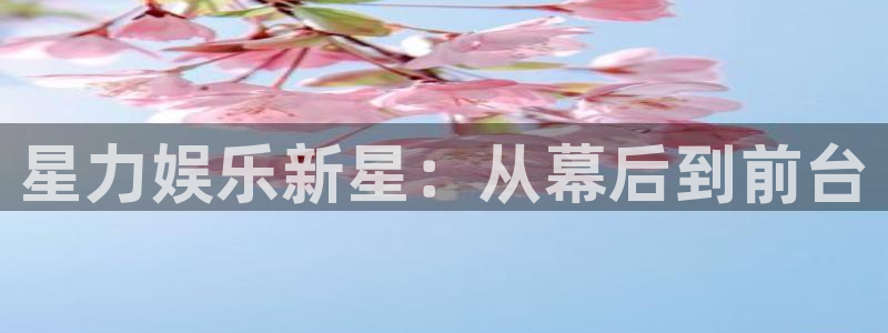 彩客网平台注册入口：星力娱乐新星：从幕后到前台