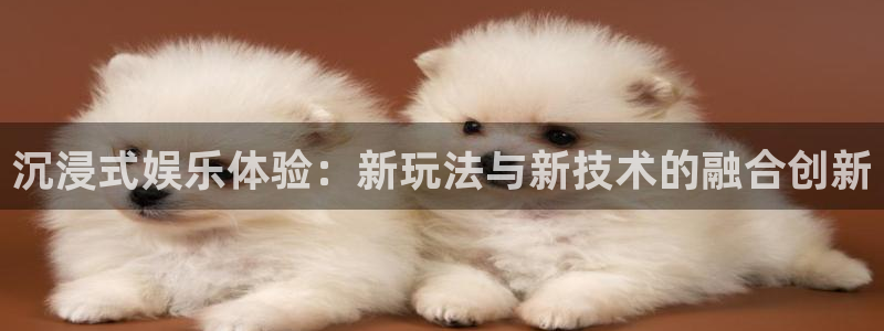 彩客网集团股票：沉浸式娱乐体验：新玩法与新技术的融合创新