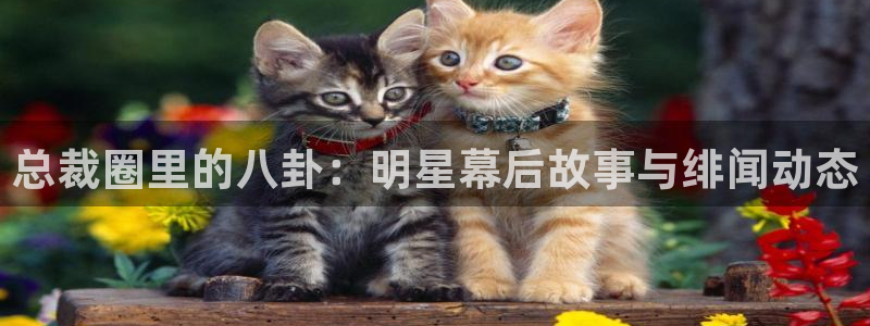 彩客网f凯捷注册：总裁圈里的八卦：明星幕后故事与绯闻动态
