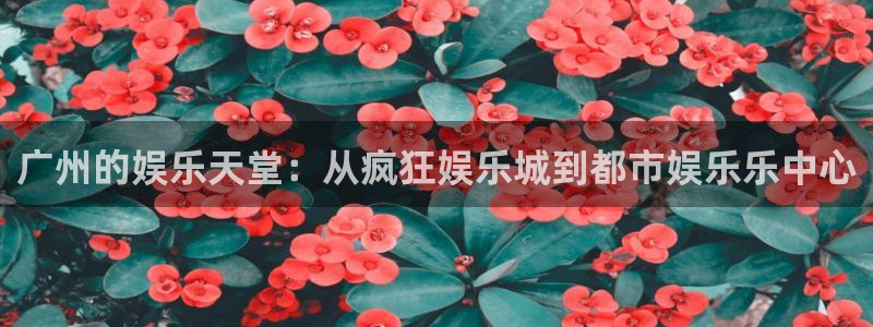 彩客网体育热门赛事有哪些：广州的娱乐天堂：从疯狂娱乐城到都市娱乐乐中心