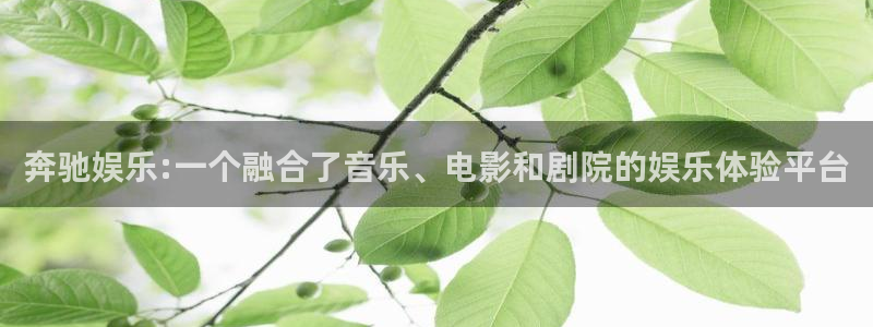彩客网凯捷注册：奔驰娱乐:一个融合了音乐、电影和剧院的娱乐体验平台