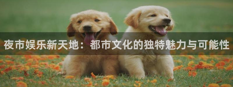 彩客网集团股票：夜市娱乐新天地：都市文化的独特魅力与可能性