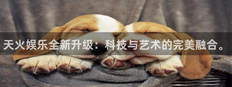 彩客网体育1招商：天火娱乐全新升级：科技与艺术的完美融合。