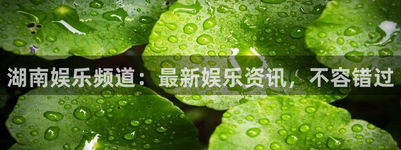 彩客网体育代理申请流程：湖南娱乐频道：最新娱乐资讯，不容错过