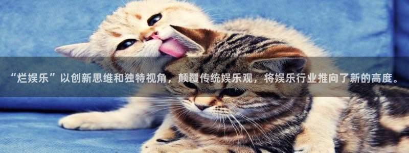 彩客网2登录：“烂娱乐”以创新思维和独特视角，颠覆传统娱乐观，将娱乐行业推向了新