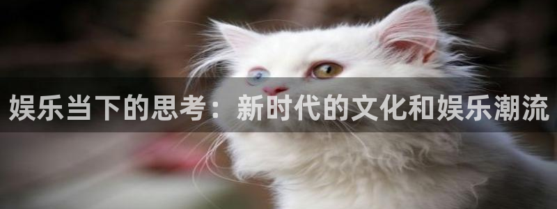 彩客网2代理注册：娱乐当下的思考：新时代的文化和娱乐潮流