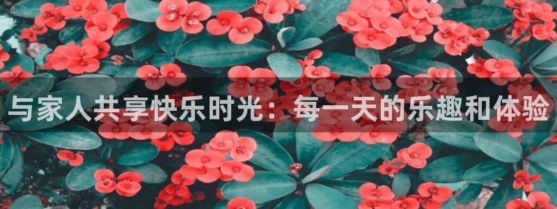 彩客网平台注册：与家人共享快乐时光：每一天的乐趣和体验