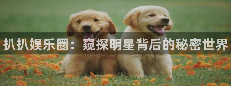 彩客网主管：扒扒娱乐圈：窥探明星背后的秘密世界