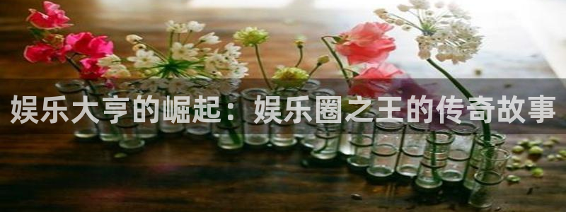 彩客网登录注册：娱乐大亨的崛起：娱乐圈之王的传奇故事