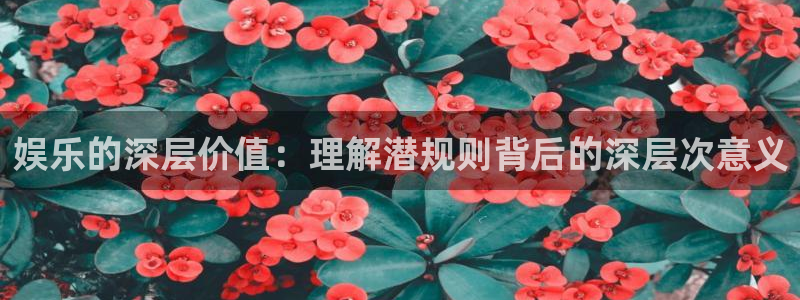 彩客网3平台登录注册：娱乐的深层价值：理解潜规则背后的深层次意义